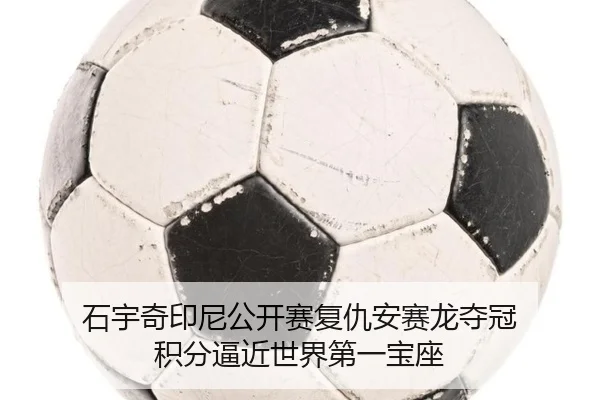 shi-yu-qi-yin-ni-gong-kai-sai-fu-chou-an-sai-long-duo-guan-ji-fen-bi-jin-shi-jie-di-yi-bao-zuo-2-282.jpg
