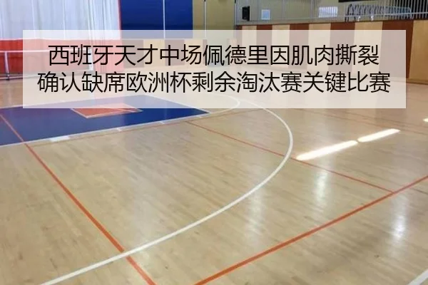 xi-ban-ya-tian-cai-zhong-chang-pei-de-li-yin-ji-rou-si-lie-que-ren-que-xi-ou-zhou-bei-sheng-yu-tao-tai-sai-guan-jian-bi-2-841.jpg